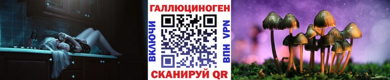 Псилоцибиновые грибы Psilocybe  Рязань 